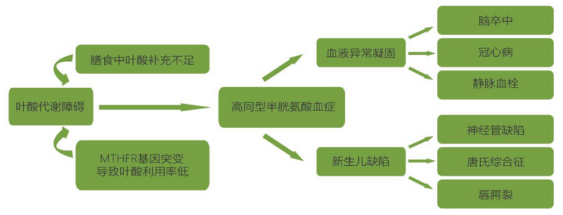 欧博abg(游戏)官网登录入口