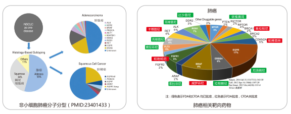 欧博abg(游戏)官网登录入口