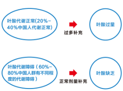欧博abg(游戏)官网登录入口