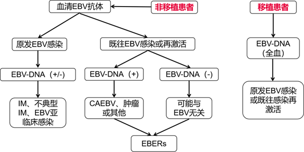欧博abg(游戏)官网登录入口