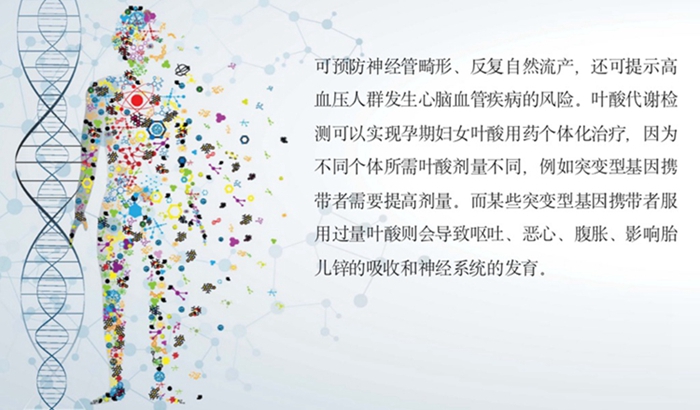 欧博abg(游戏)官网登录入口