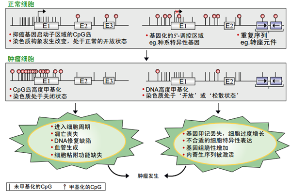 欧博abg(游戏)官网登录入口