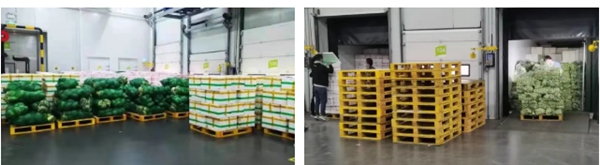 欧博abg(游戏)官网登录入口