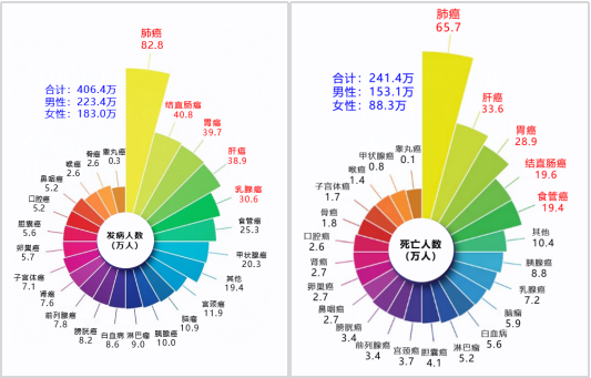 欧博abg(游戏)官网登录入口